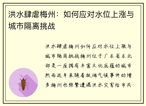 洪水肆虐梅州：如何应对水位上涨与城市隔离挑战
