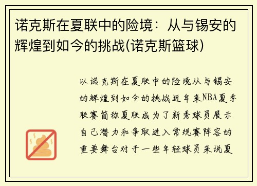 诺克斯在夏联中的险境：从与锡安的辉煌到如今的挑战(诺克斯篮球)