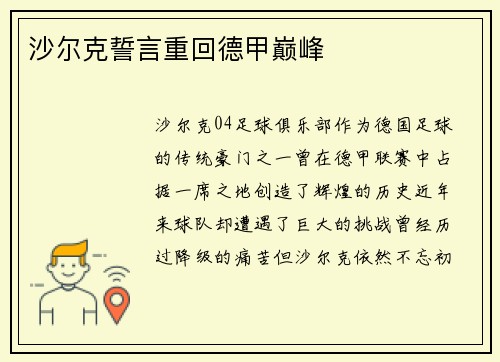 沙尔克誓言重回德甲巅峰