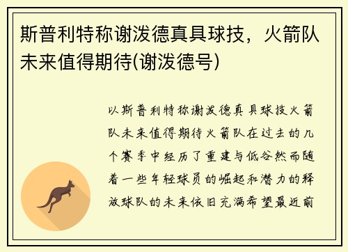 斯普利特称谢泼德真具球技，火箭队未来值得期待(谢泼德号)